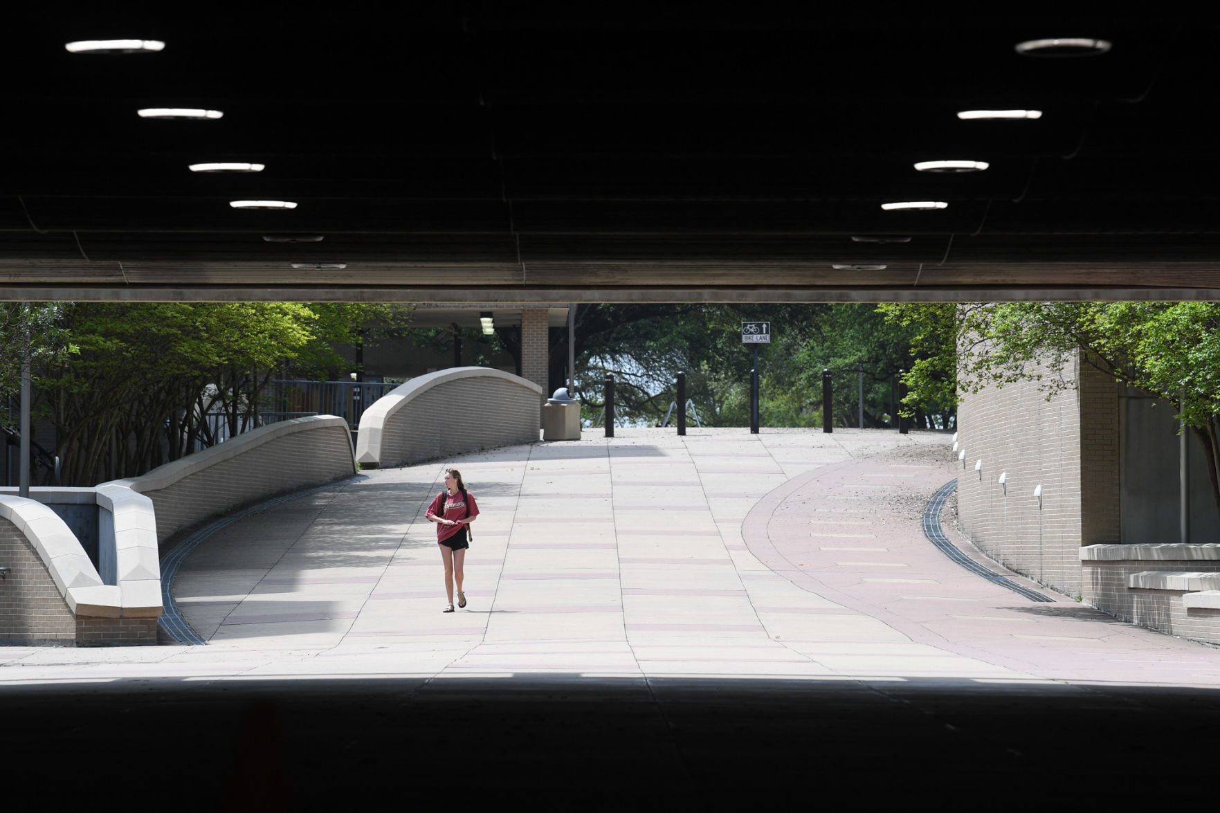 Texas A&M University